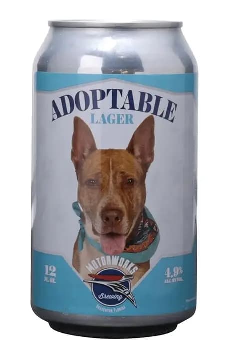Adoptable Lager