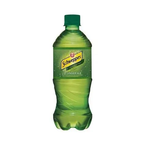 Schweppes Ginger Ale Single